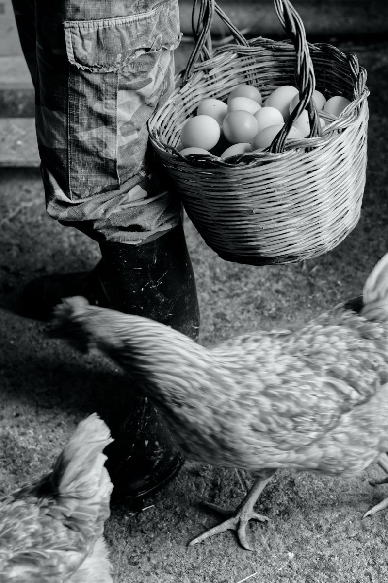 Agricoltrici, foto 5
