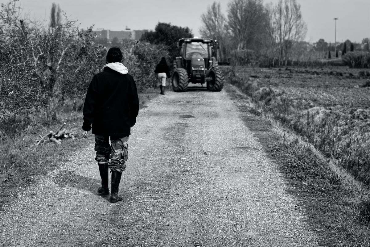Agricoltrici, foto 12