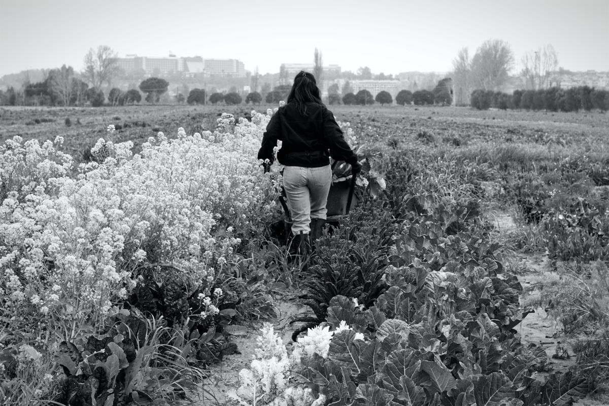 Agricoltrici, foto 16